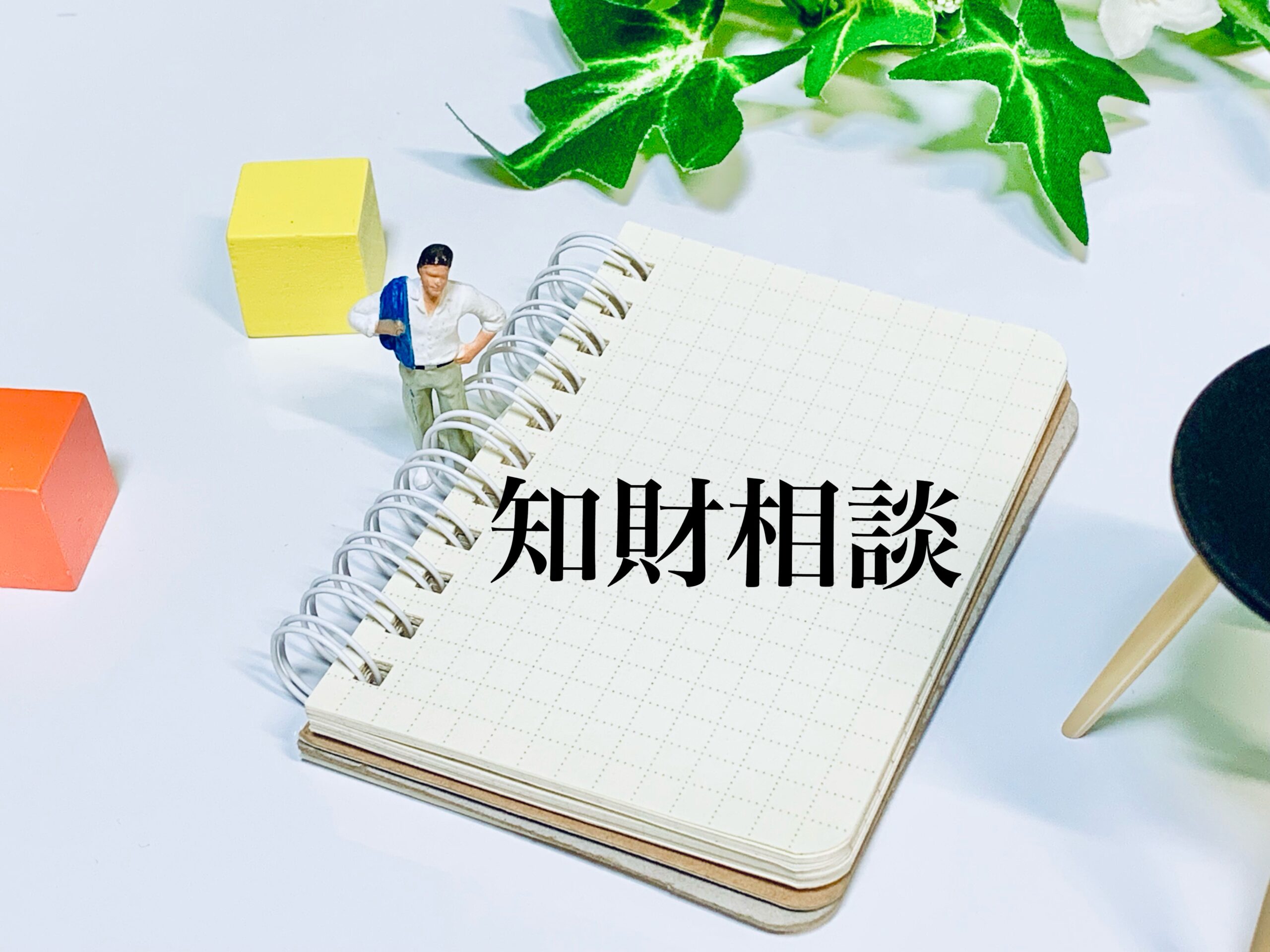 知的相談
